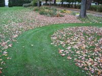 IMG_0817.jpg
