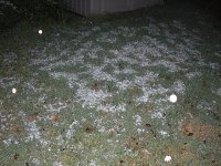 Snow! 2008 008.jpg