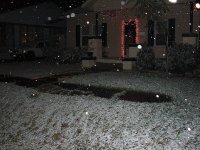 Snow! 2008 057.jpg