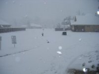 snow.jpg