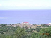 DSCN0481.jpg