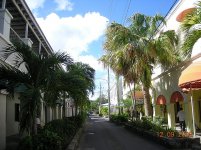 DSCN0510.jpg