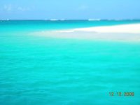 DSCN0585.jpg