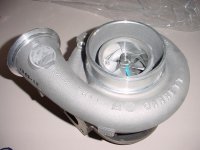 DSC00498.jpg