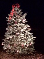 towntree.jpg