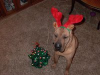 Picture 021.jpg