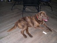 DSCN0548.JPG