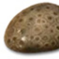 yzbert