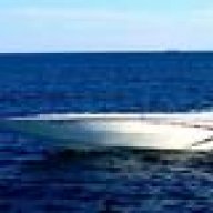 flamingo 32