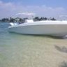 Allstar Marine