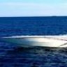 flamingo 32